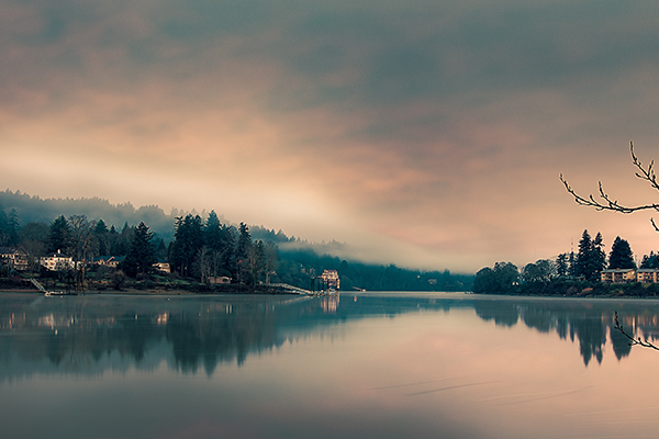 Landscape Company in Milwaukie, OR