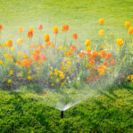 Smart,Garden,Activated,With,Full,Automatic,Sprinkler,Irrigation,System,Working
