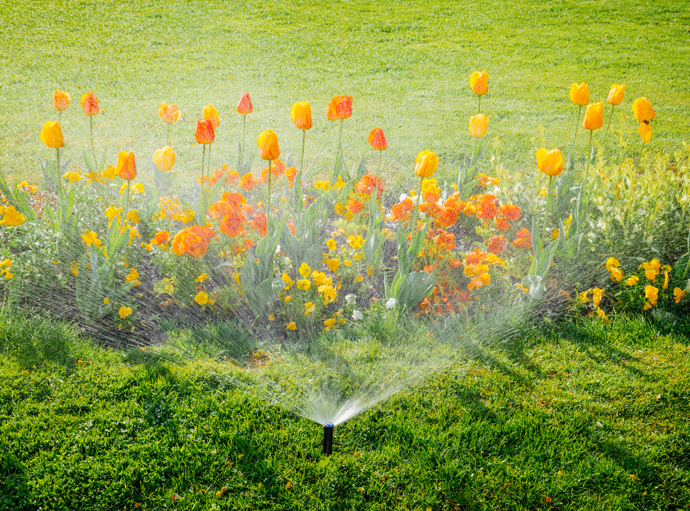 Smart,Garden,Activated,With,Full,Automatic,Sprinkler,Irrigation,System,Working