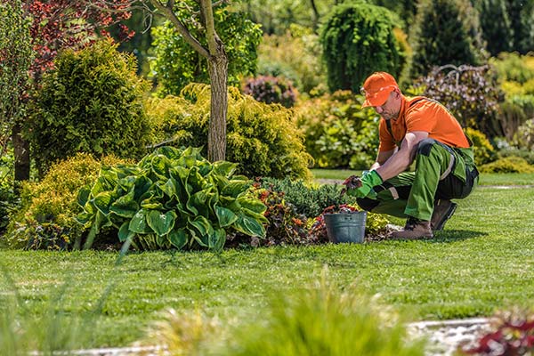 Landscape Company in Mulino, OR