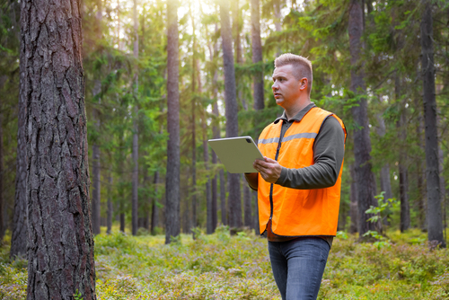Forester,Working,And,Using,Tablet,In,Forest